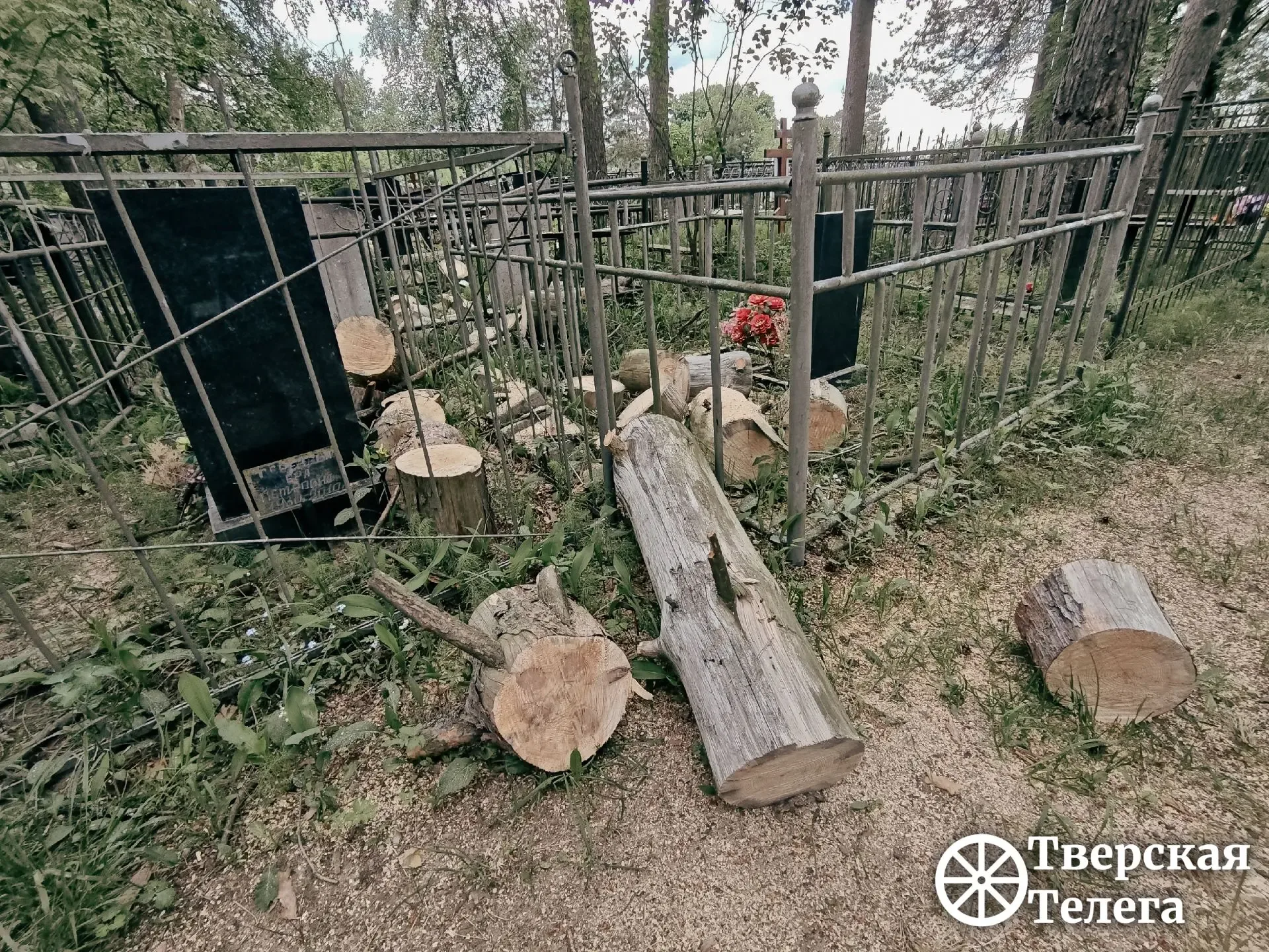 🌲😒 После урагана — разбирайтесь сами?  На кладбище в деревне Курово Калининского округа после апрель