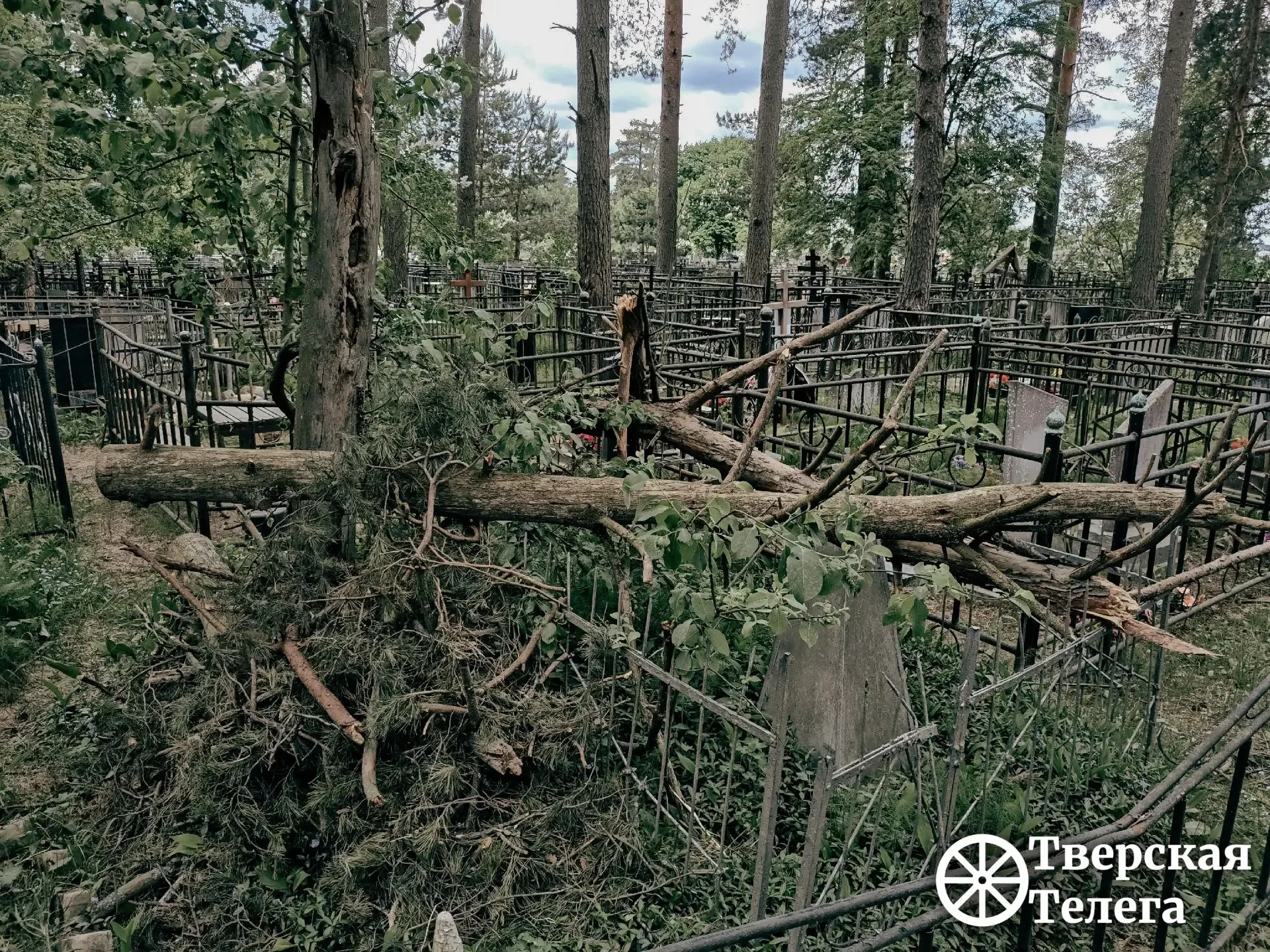 🌲😒 После урагана — разбирайтесь сами?  На кладбище в деревне Курово Калининского округа после апрель