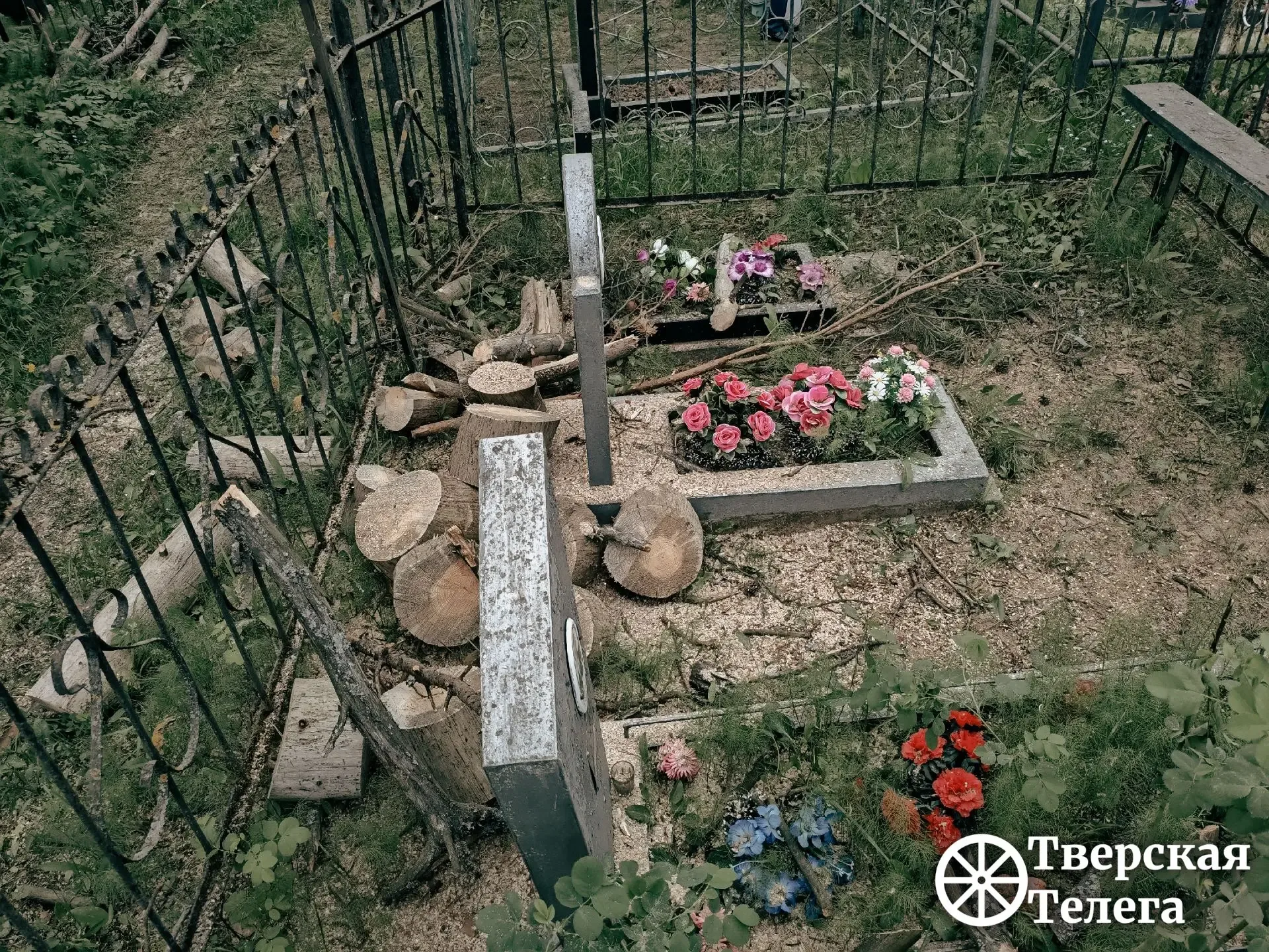 🌲😒 После урагана — разбирайтесь сами?  На кладбище в деревне Курово Калининского округа после апрель