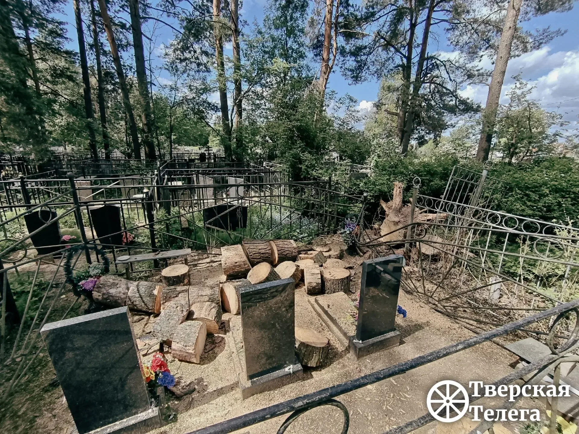 🌲😒 После урагана — разбирайтесь сами?  На кладбище в деревне Курово Калининского округа после апрель