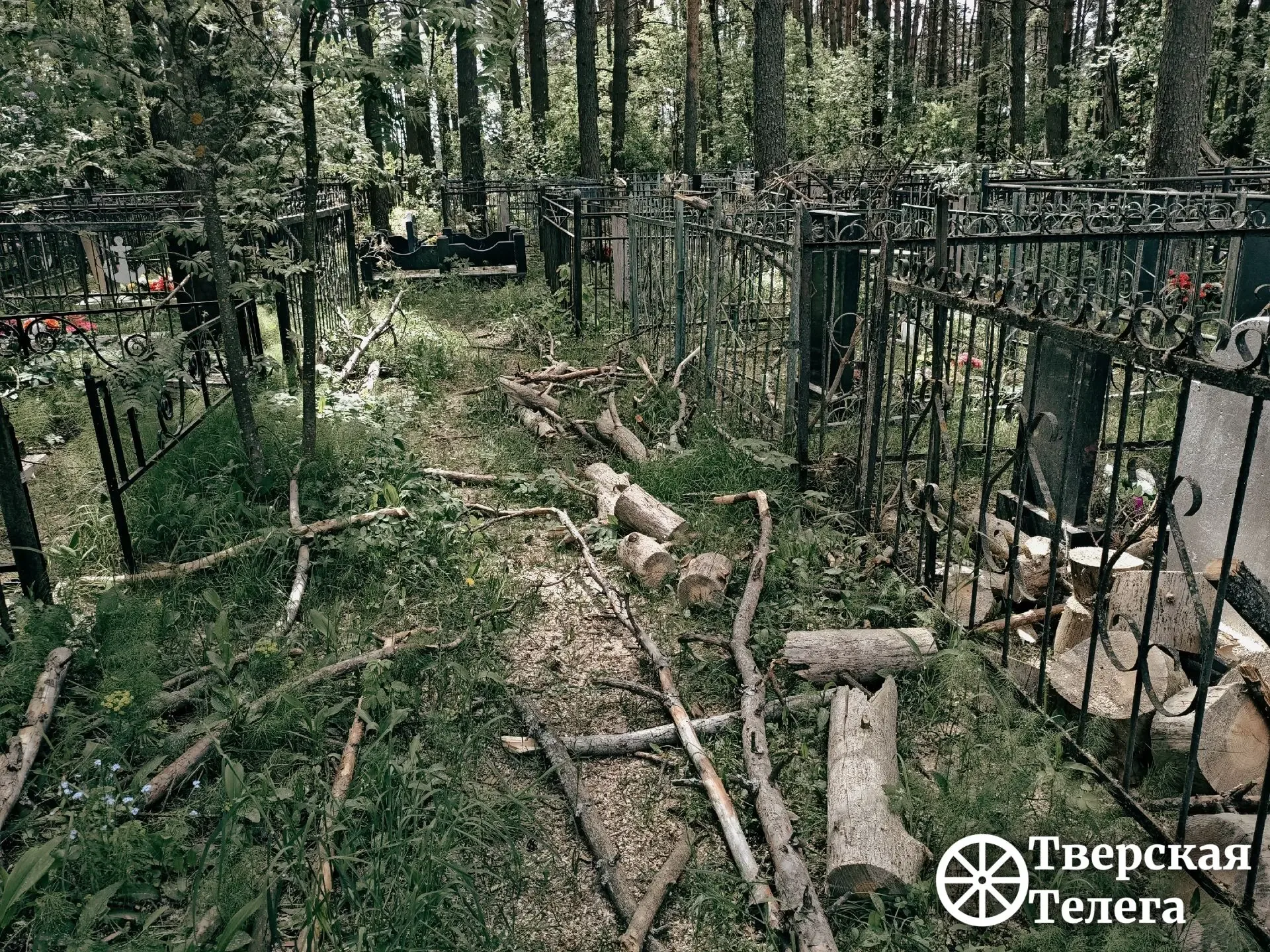 🌲😒 После урагана — разбирайтесь сами?  На кладбище в деревне Курово Калининского округа после апрель