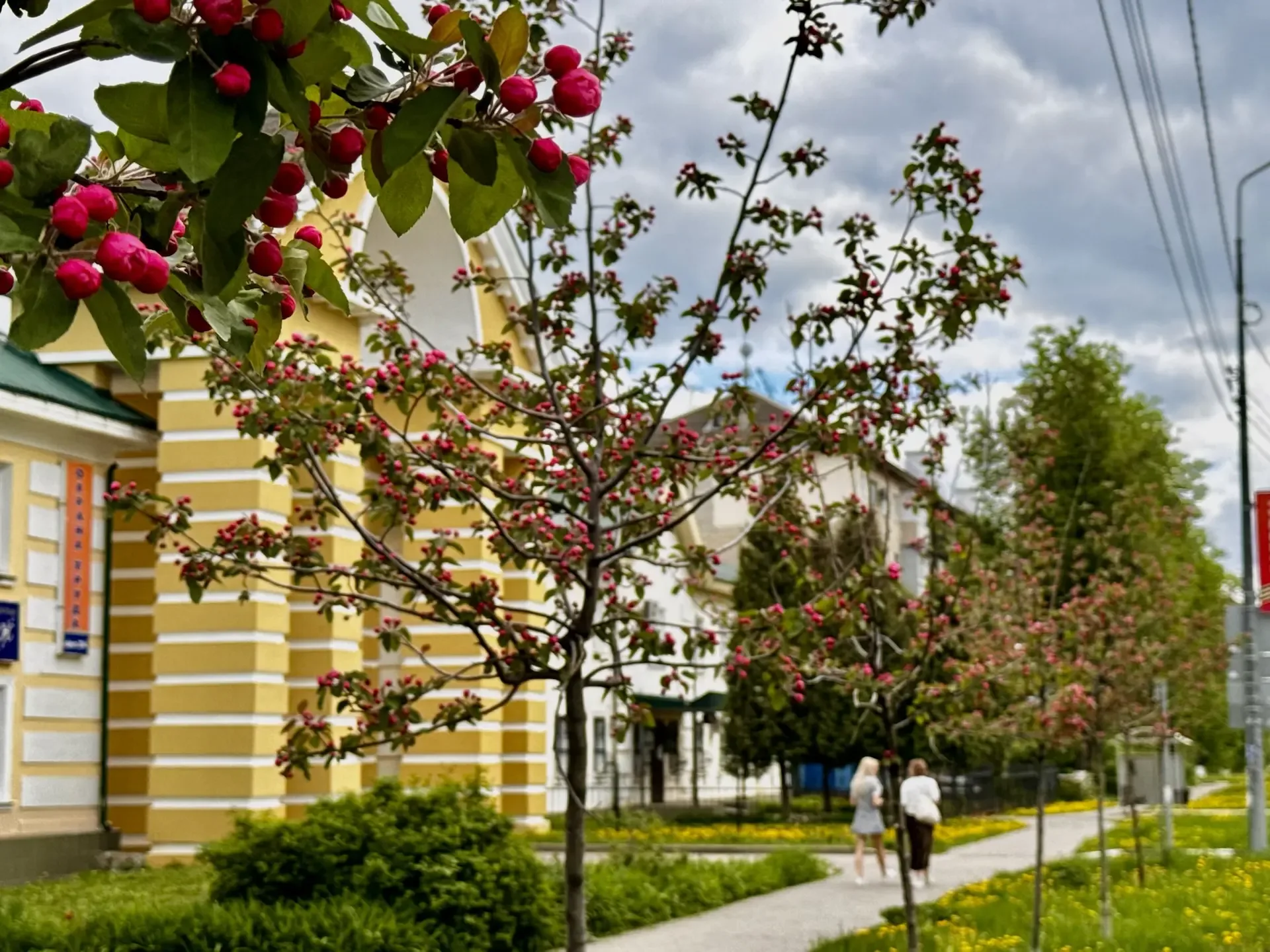 Время расцветать, Новомосковск!  ✨😉🌸