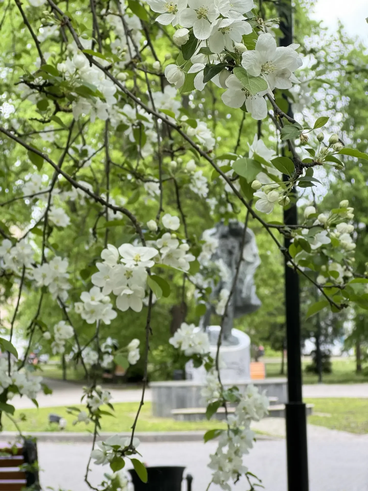 Время расцветать, Новомосковск!  ✨😉🌸
