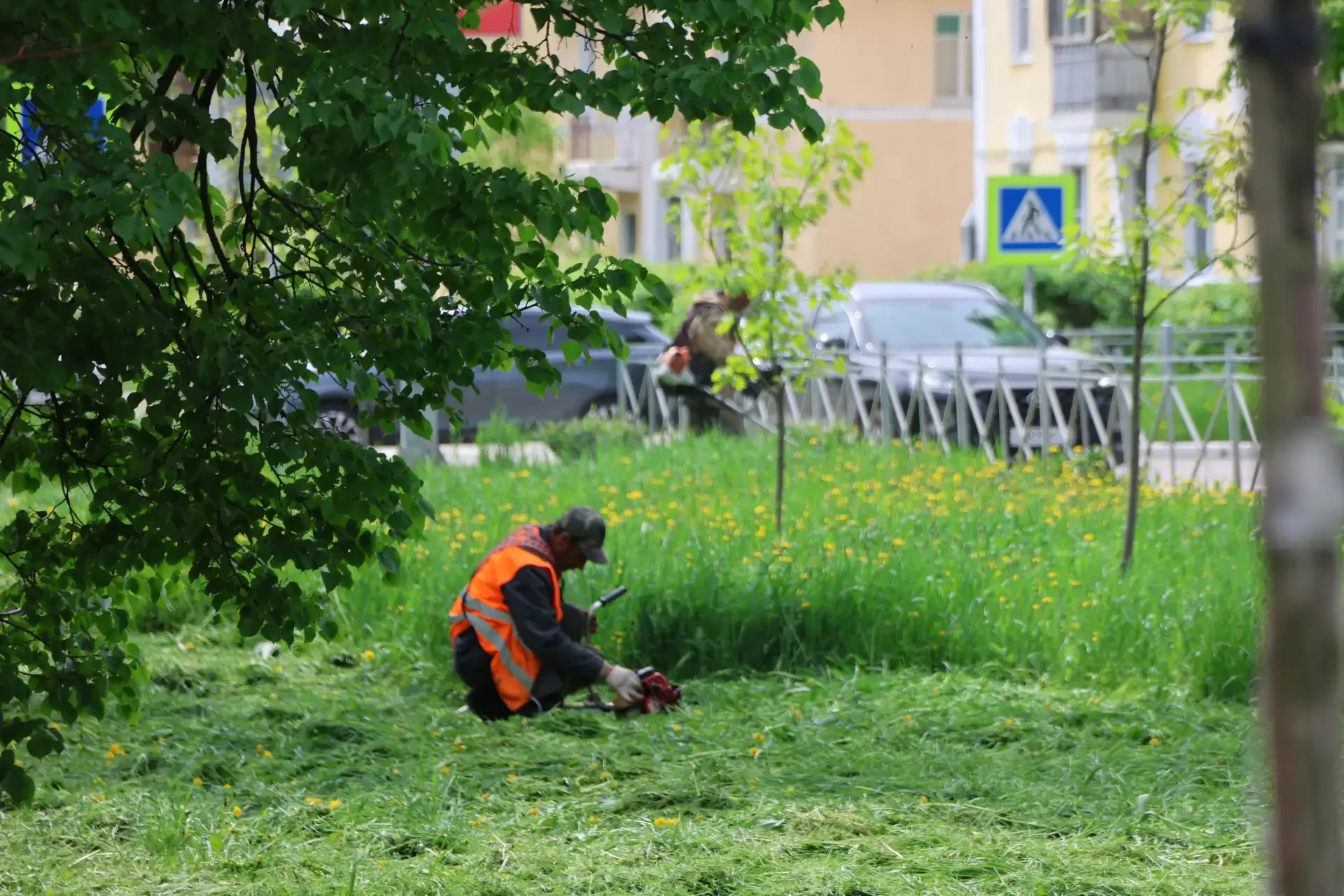 В городе продолжается первый этап покоса травы. Коммунальные службы уже вовсю работают, чтобы привес