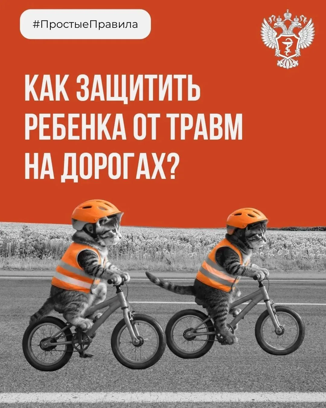 Как защитить ребенка от травм на дорогах?    📍Единственный безопасный способ перевозки детей от 0 до