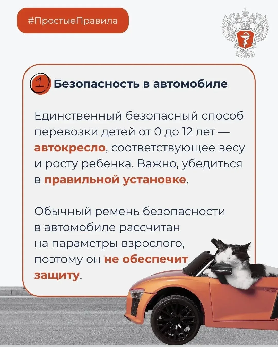 Как защитить ребенка от травм на дорогах?    📍Единственный безопасный способ перевозки детей от 0 до