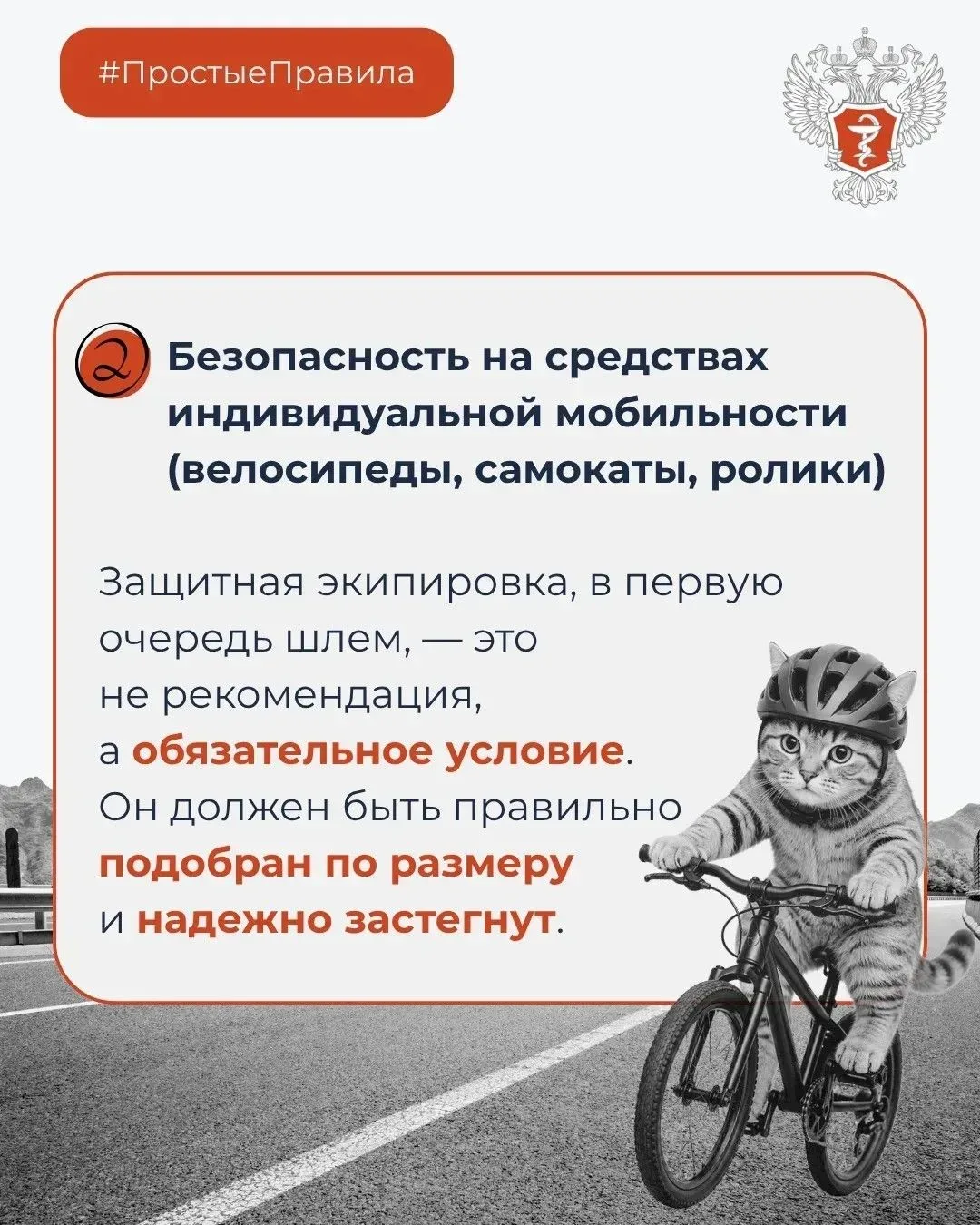 Как защитить ребенка от травм на дорогах?    📍Единственный безопасный способ перевозки детей от 0 до