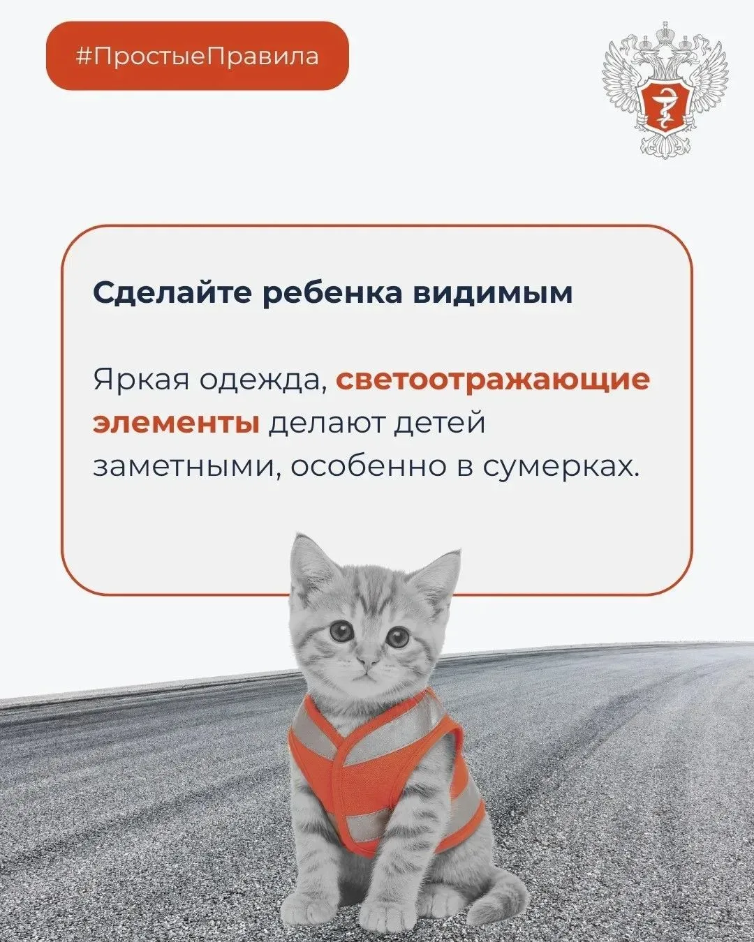Как защитить ребенка от травм на дорогах?    📍Единственный безопасный способ перевозки детей от 0 до