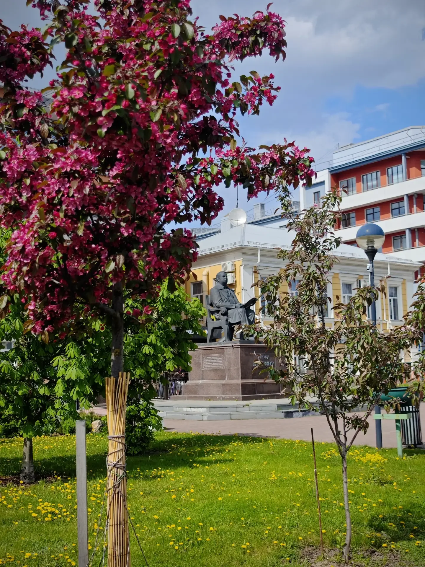 😍 Ещё одно место в #Иваново, где можно полюбоваться цветущими декоративными розовыми яблонями 🌸, — э