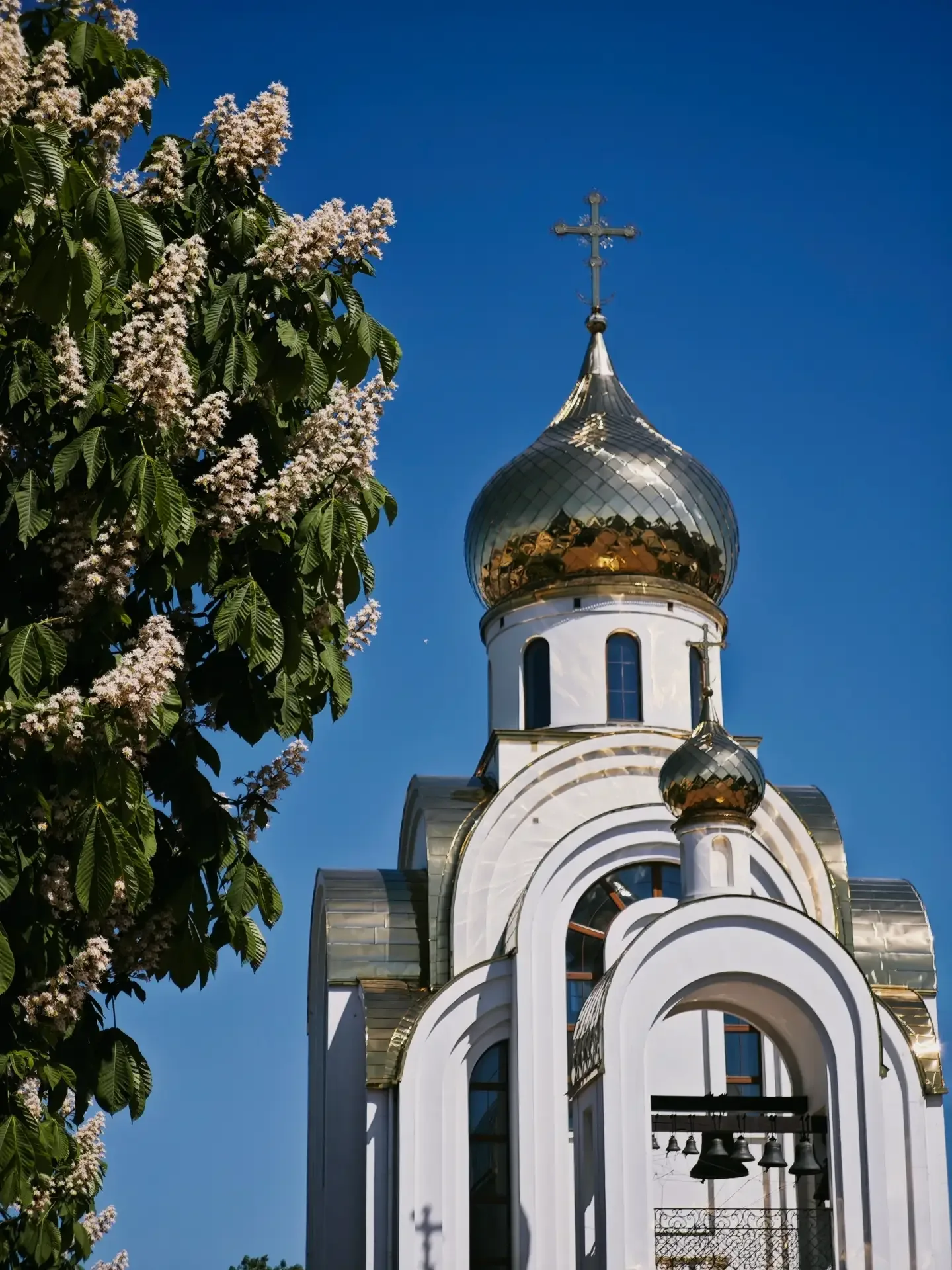 📍 В городе #Иваново на площади Победы цветут каштаны. Стоят как нарядные букеты — все в белых свечка