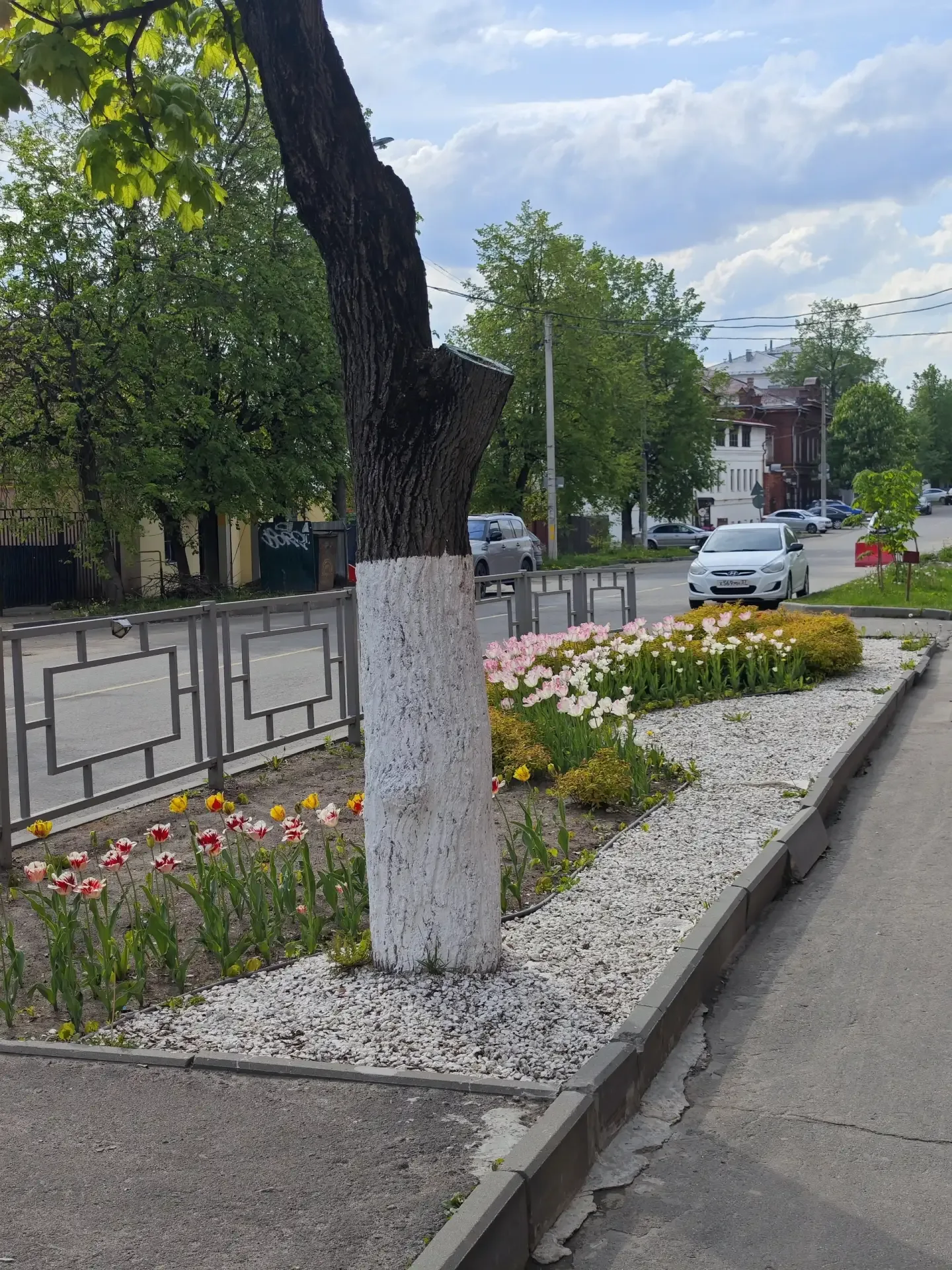 🌷 Ухоженный сквер у средней школы №26 с тюльпанами и красивыми цветочными композициями — радует глаз