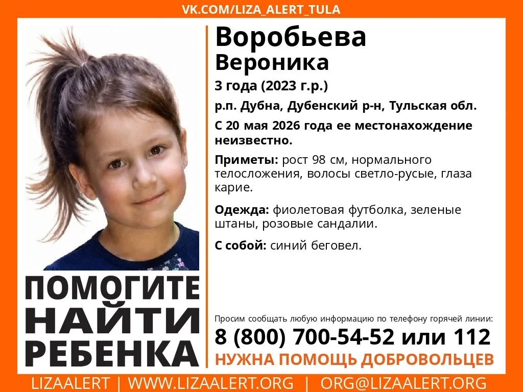 Внимание! Помогите найти ребенка!  Пропала #Воробьева Вероника, 3 года, р.п. #Дубна, #Дубенский р-н,