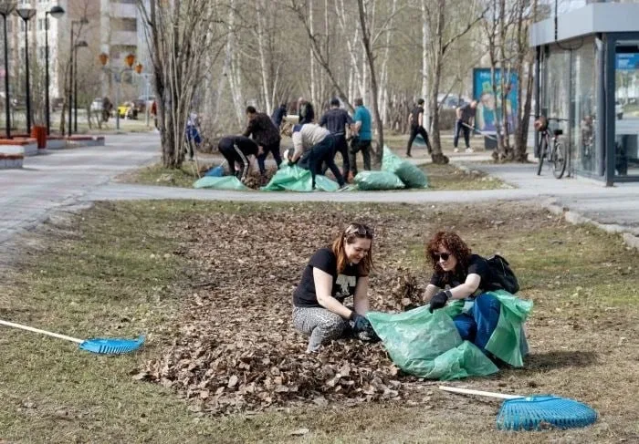 🌳Сургутяне высадили около 300 деревьев и кустарников на общегородских субботниках  На первых уборках