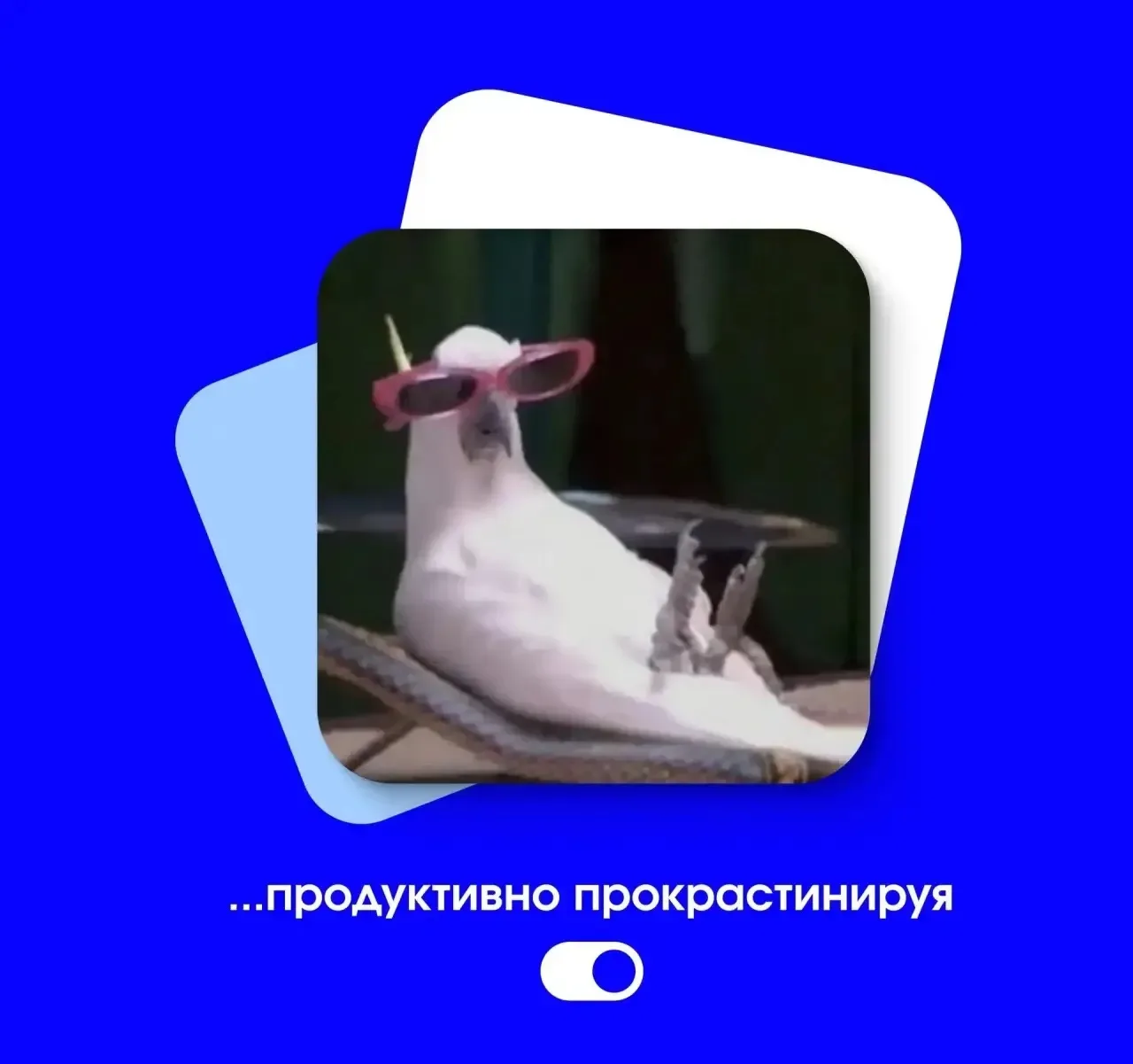 Начался новый месяц, а вместе с ним наступили выходные 🔥  Присылайте друзьям идеи для отдыха!