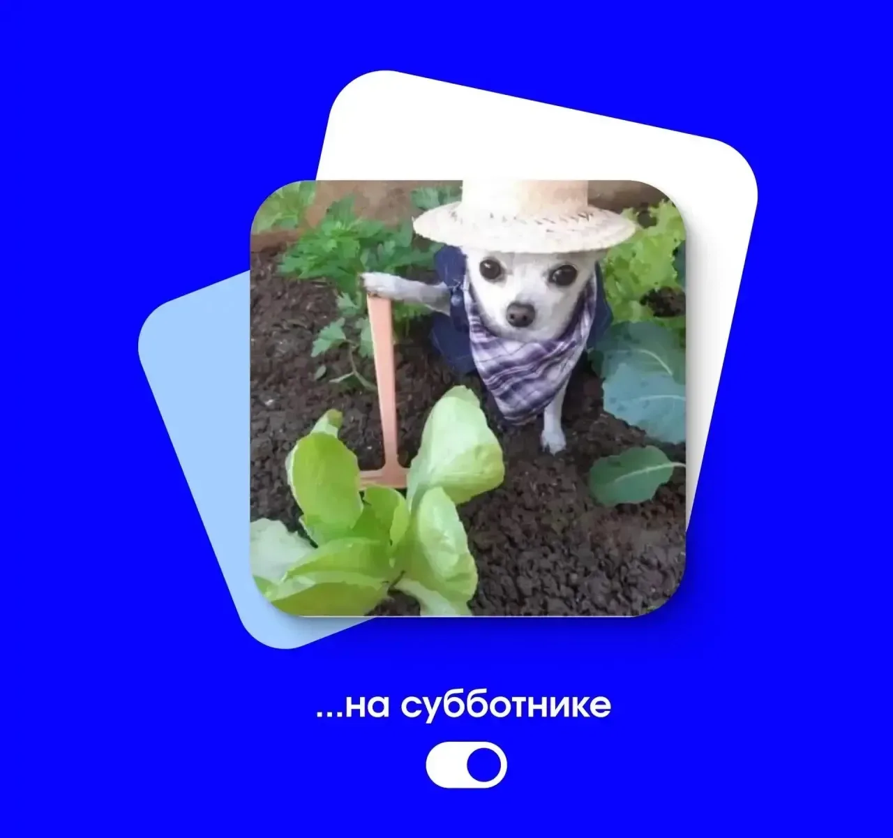 Начался новый месяц, а вместе с ним наступили выходные 🔥  Присылайте друзьям идеи для отдыха!