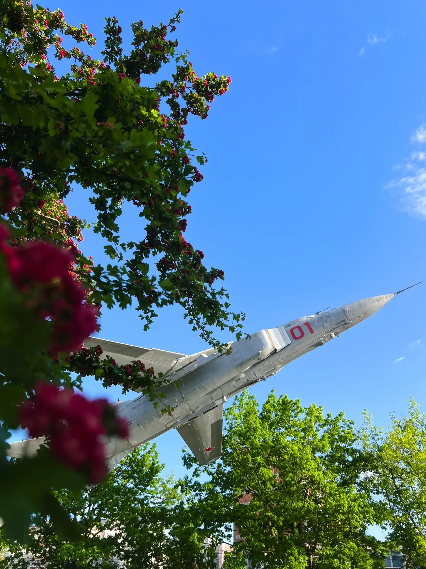 Весна в столице Адыгеи 🌿🌇  Спасибо нашим подписчикам за эти прекрасные кадры!  Приглашаем всех присо