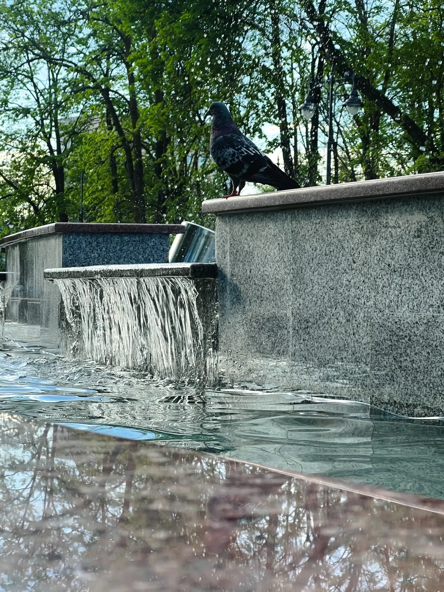 Весна в столице Адыгеи 🌿🌇  Спасибо нашим подписчикам за эти прекрасные кадры!  Приглашаем всех присо