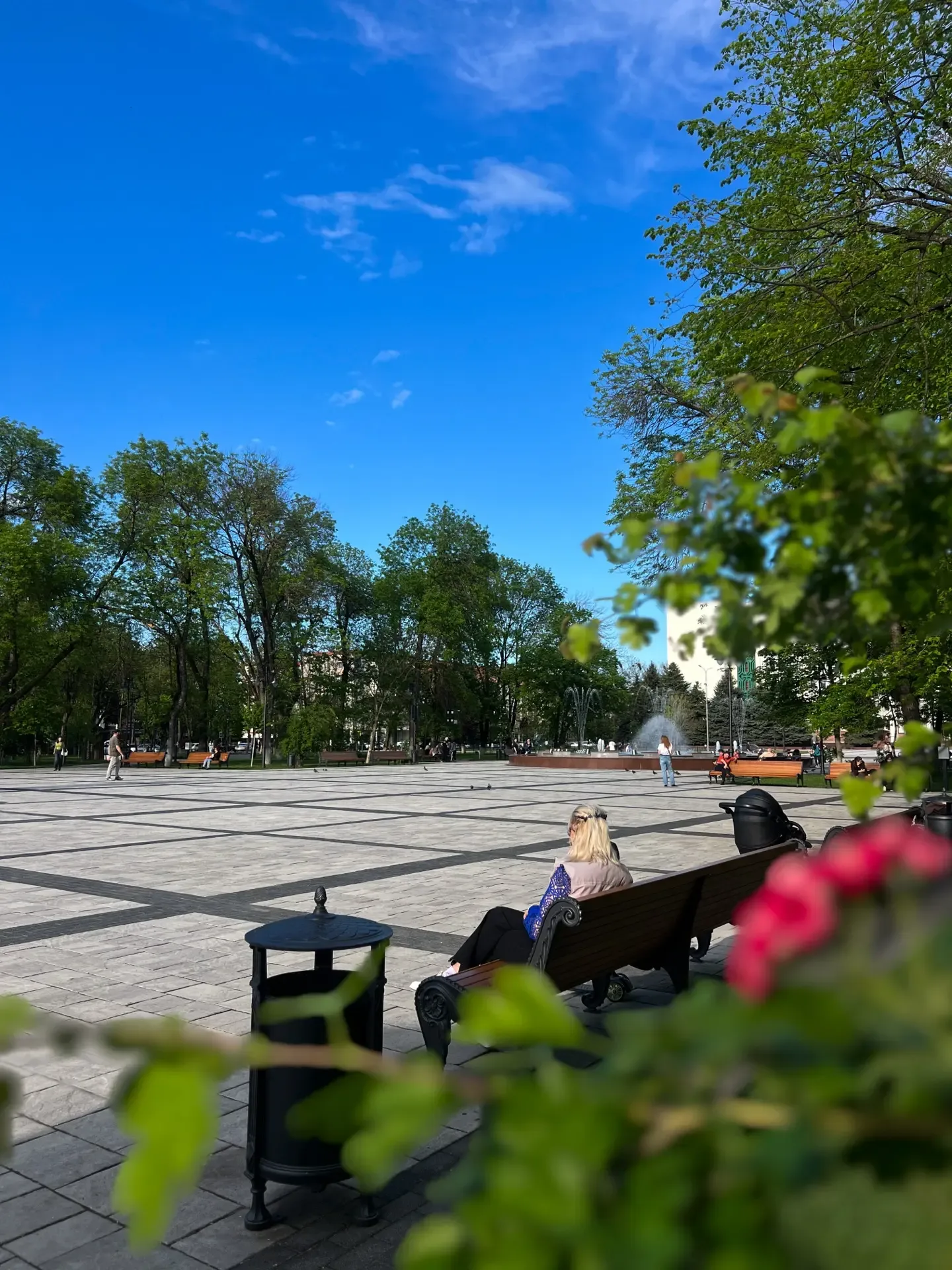Весна в столице Адыгеи 🌿🌇  Спасибо нашим подписчикам за эти прекрасные кадры!  Приглашаем всех присо