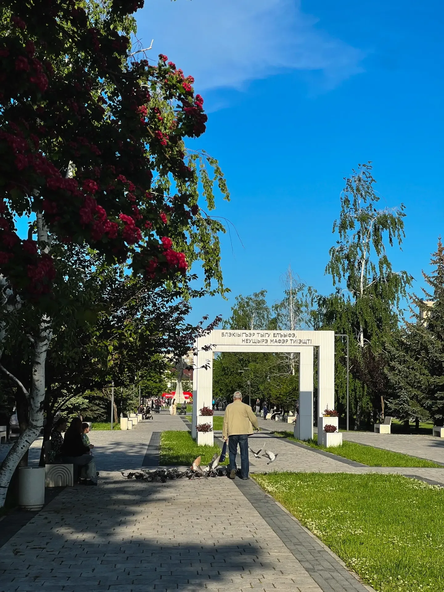 Весна в столице Адыгеи 🌿🌇  Спасибо нашим подписчикам за эти прекрасные кадры!  Приглашаем всех присо