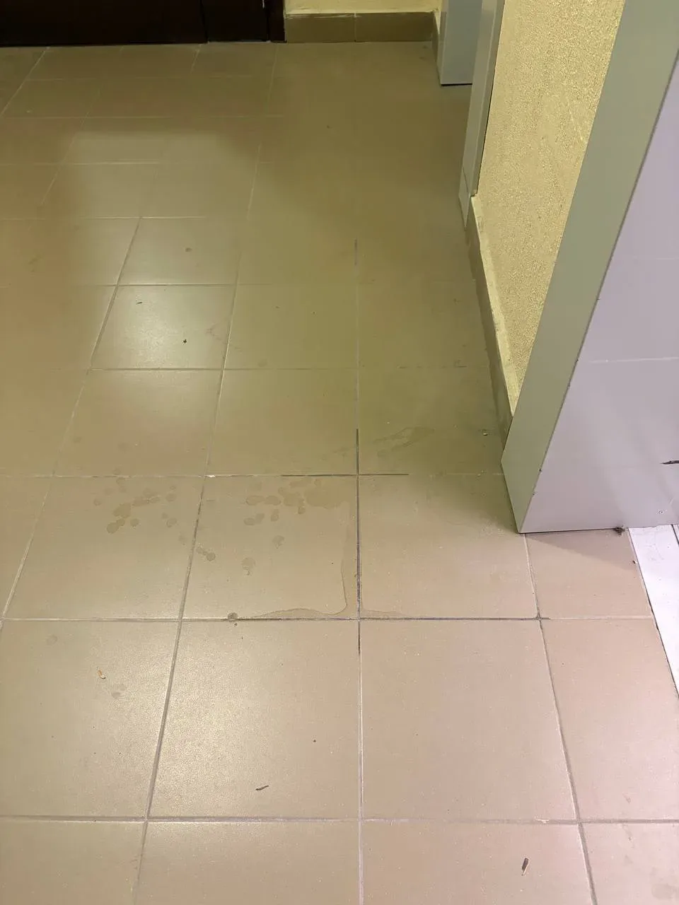Кирова 17/1, 3 секция (видео 13-17 этажи) уборка совсем не проводится. У вас так же?