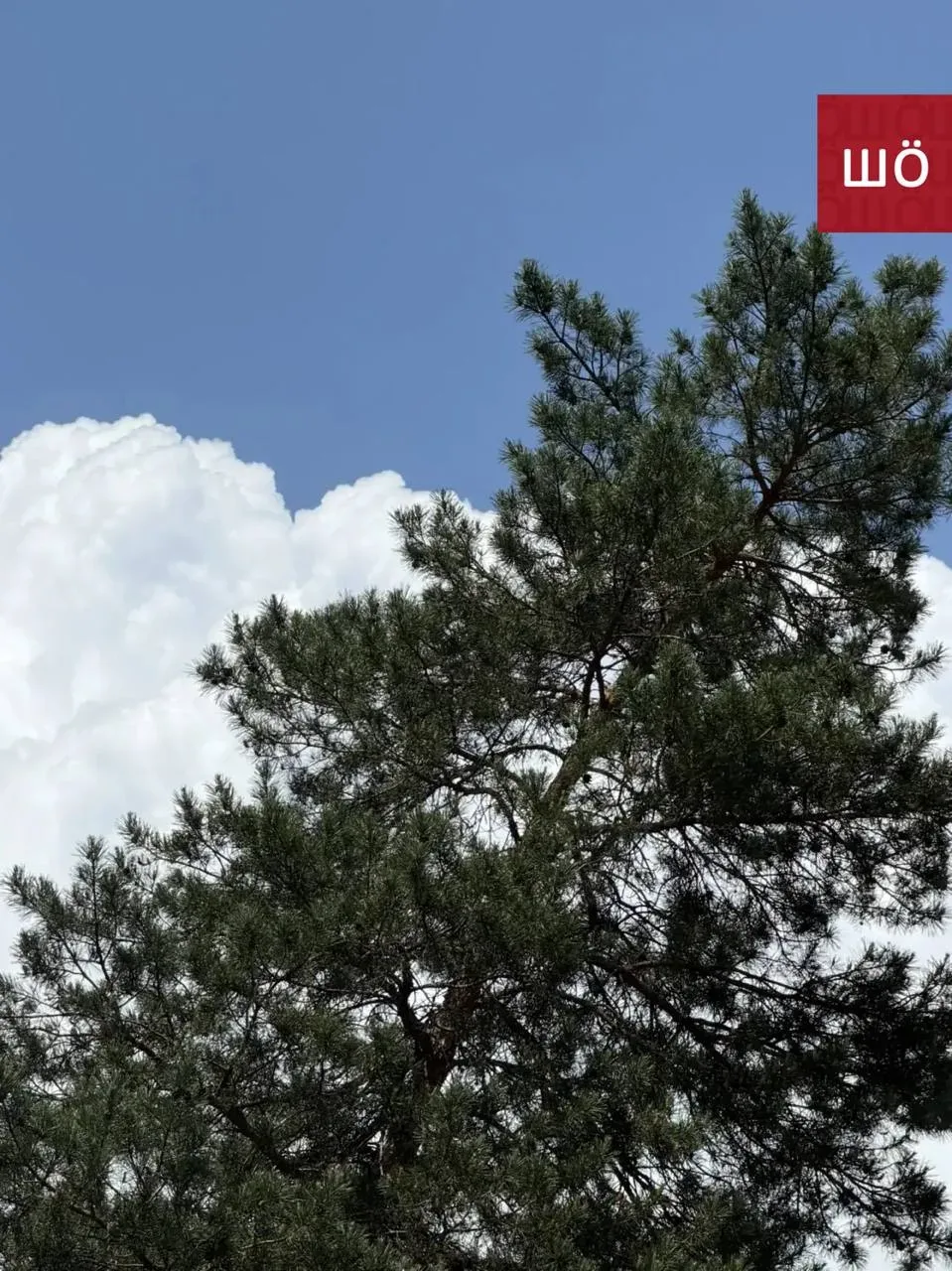 Хотели выложить белоснежные облака, но выкладываем вместо этого черный как смола дым. Столько эпитет