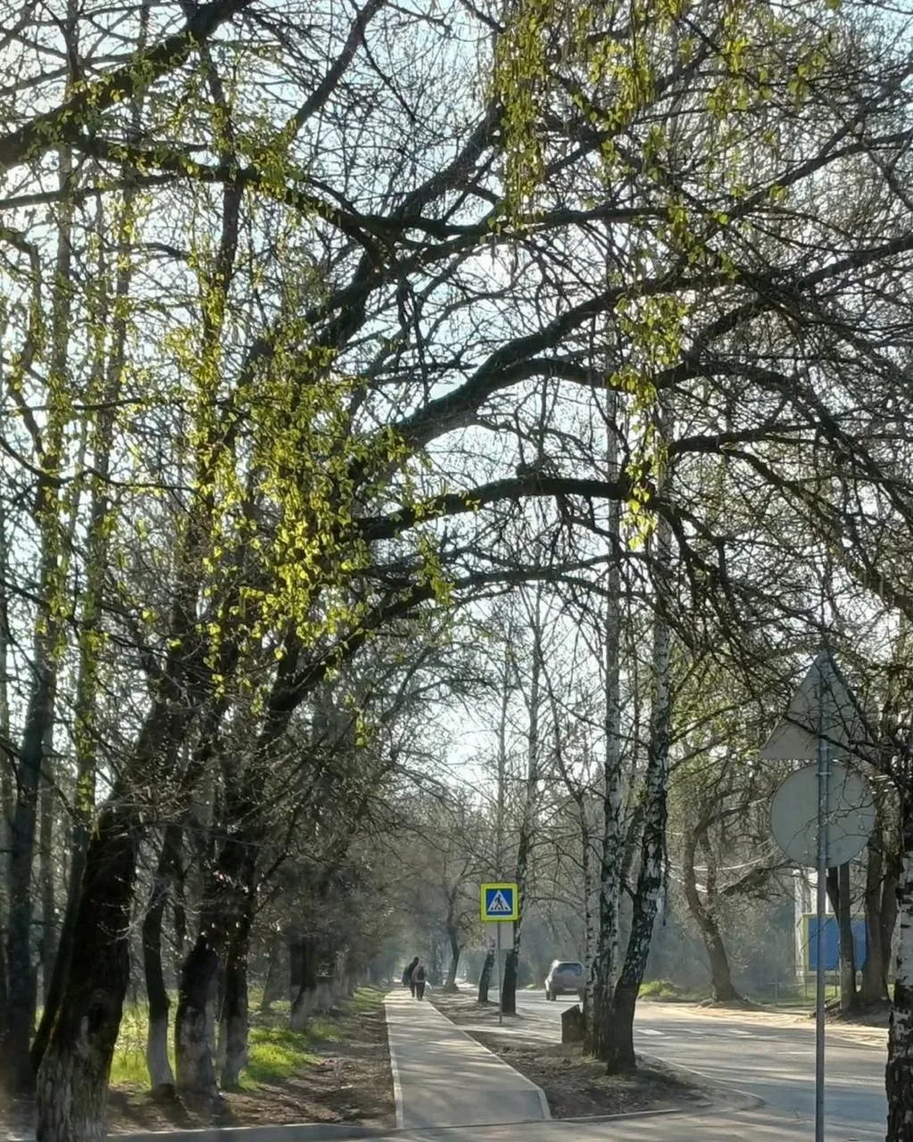 🌸 Нежная красота весеннего Воронежа!  Делитесь в комментариях своими фото нашего города ⤵️  🔲🔲 Куда 