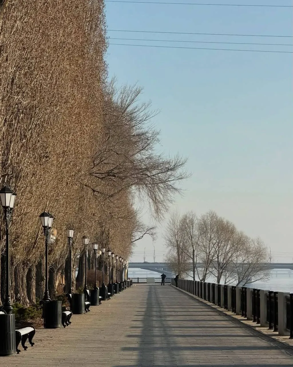 🌸 Нежная красота весеннего Воронежа!  Делитесь в комментариях своими фото нашего города ⤵️  🔲🔲 Куда 