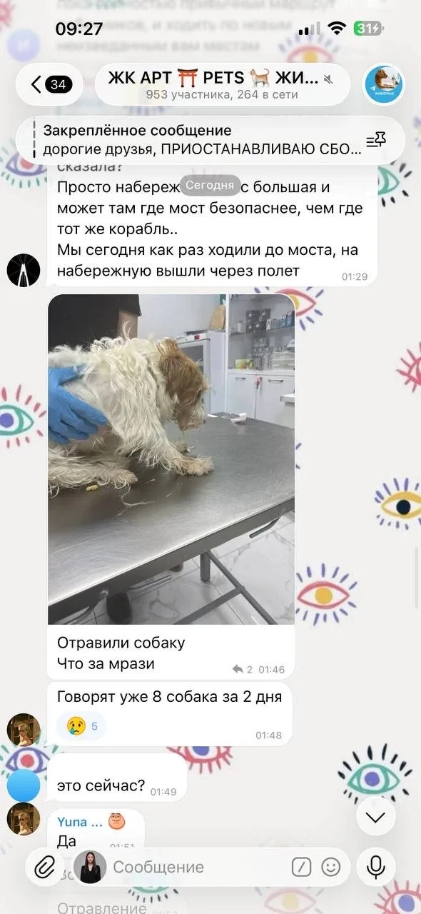 💬 От подписчика:  В ЖК АРТ во дворе происходит массовая травля собак, которая приводит к их гибели. 