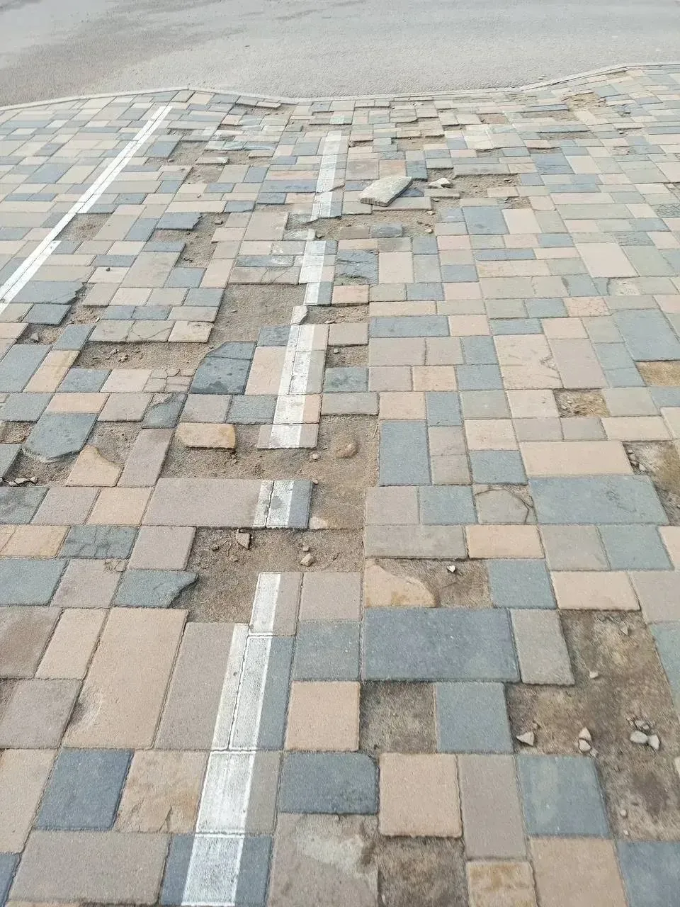 🛴 На проспекте Мира появилась новая полоса для самокатов — и это уже вызывает вопросы у липчан.  Гор