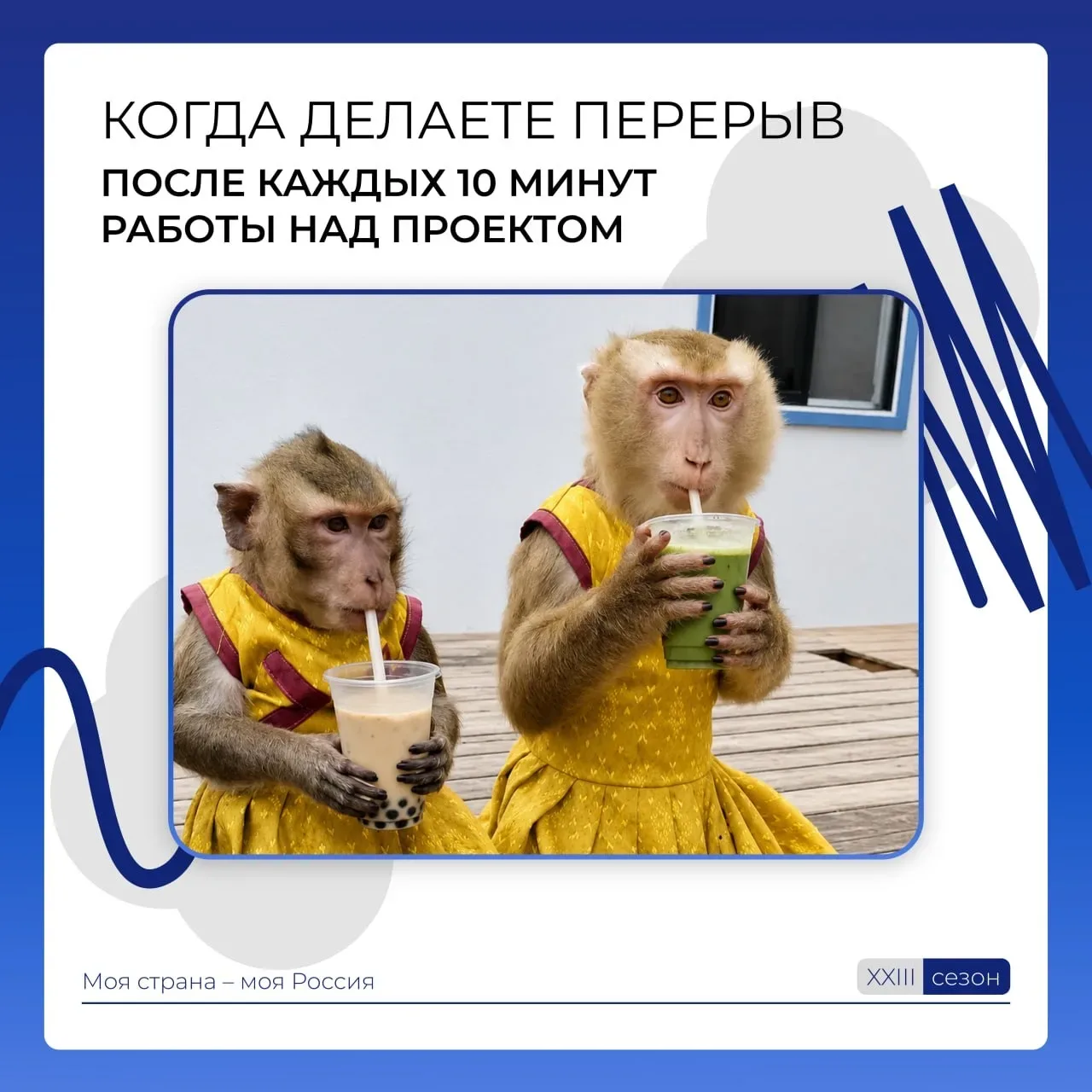 Свой среди своих  Бывают моменты, когда одна встреча меняет всё, и ты понимаешь: перед тобой «твой» 