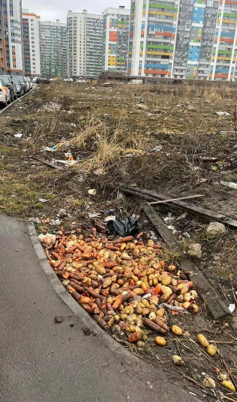 Мурино. Более года жители Петровского бульвара, улиц Шувалова и Екатерининской направляют обращения 