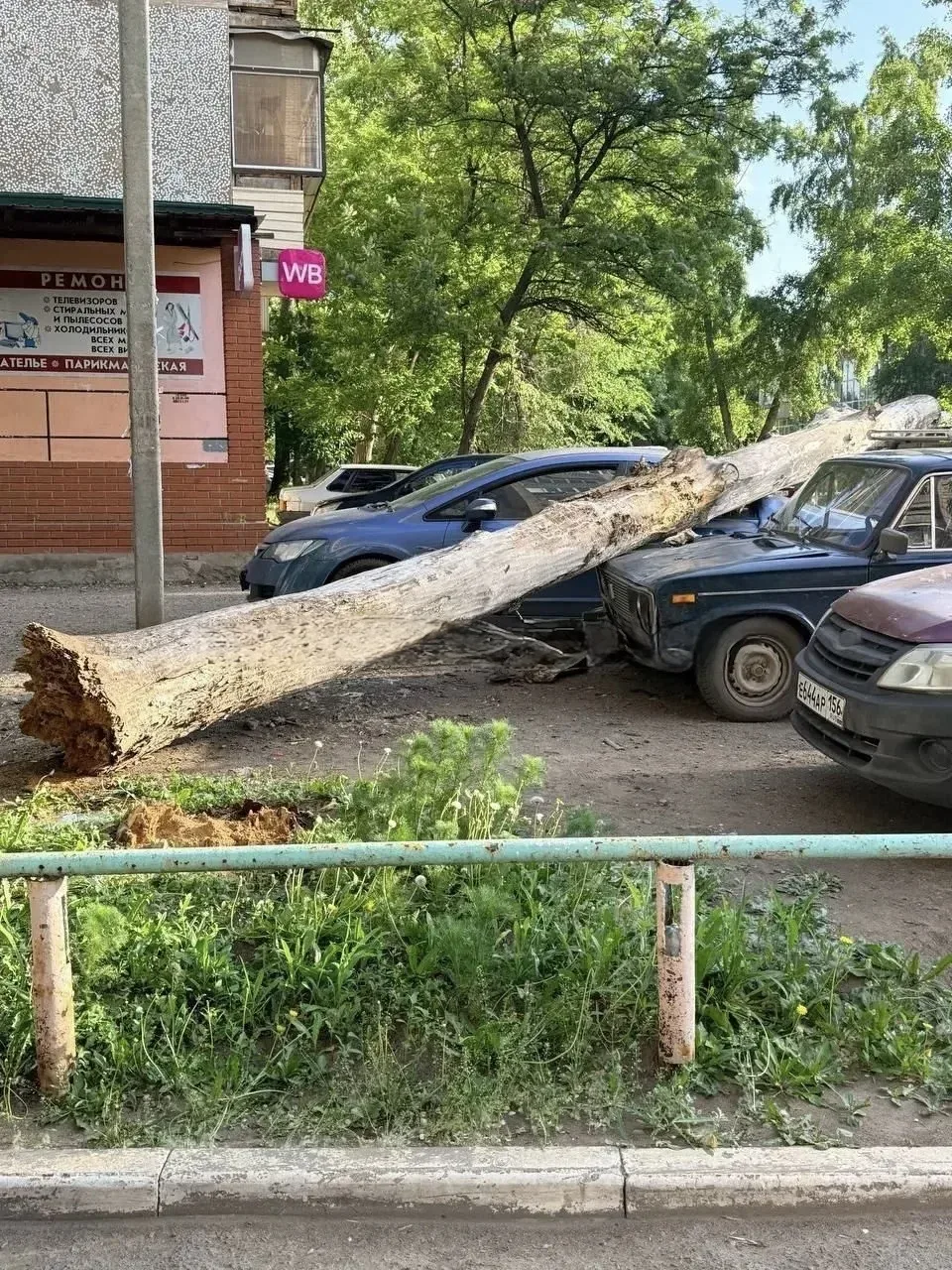 😱В Оренбурге дерево рухнуло на припаркованные автомобили на проспекте Гагарина, 54/1  👁Подписаться н