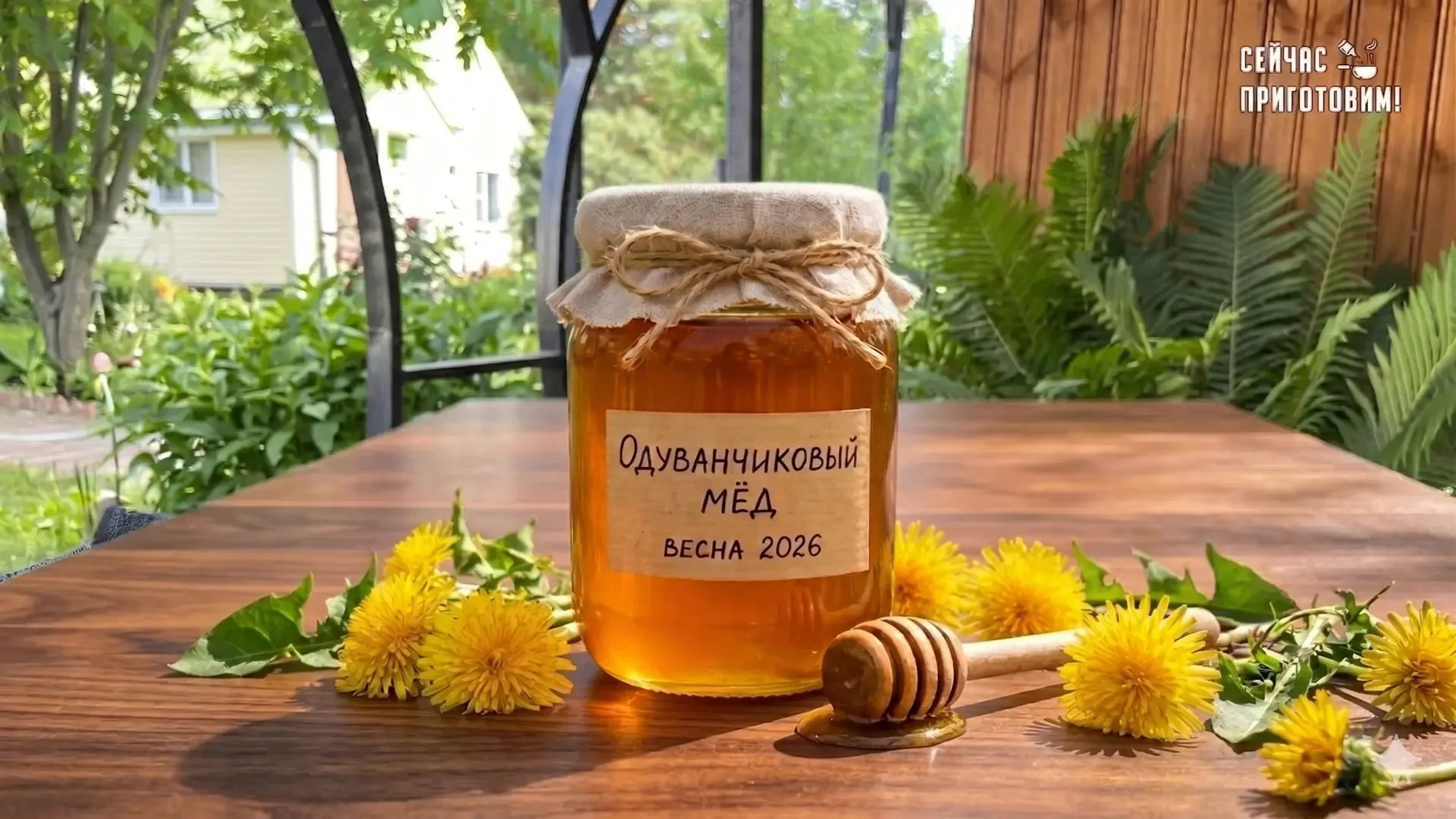 Забудьте про косилку! Готовим «солнце в банке»: рецепт мёда из одуванчиков  Сейчас дача буквально ут