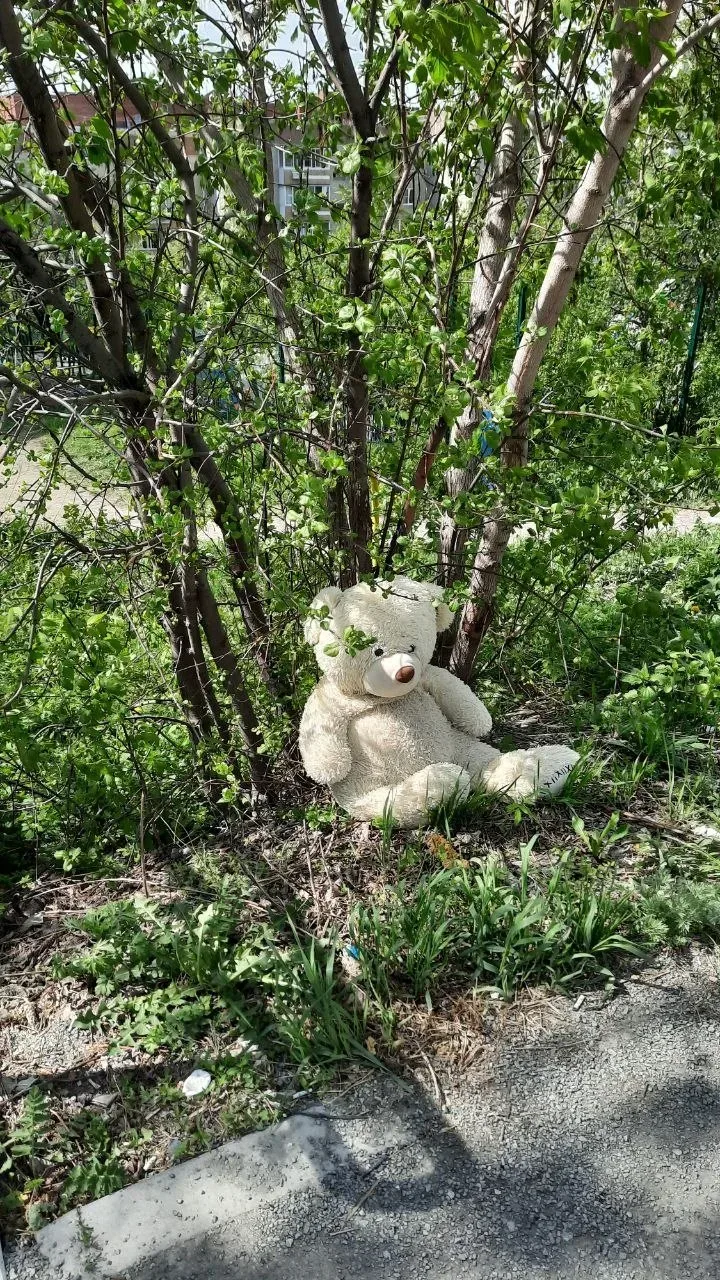 🌞 Жаркие выходные в Первоуральске!  Май в самом разгаре. Хотя календарное лето ещё впереди, погода у