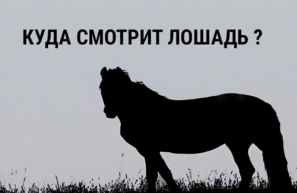 📖 ТЕСТ: КАК ВЫ РЕАГИРУЕТЕ НА СТРЕСС  В напряжённых ситуациях люди ведут себя по-разному. Кто-то стар