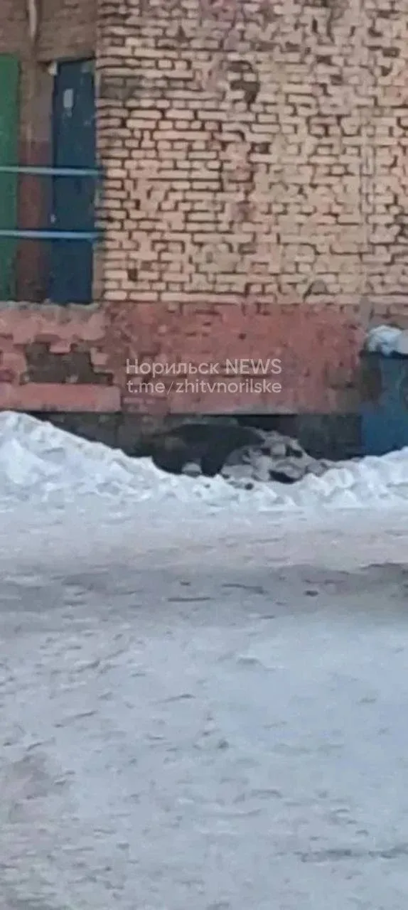 📢 В Центральном районе города Норильска в районе д. 1 по ул. Красноярская, д. 60 по ул. Нансена заре