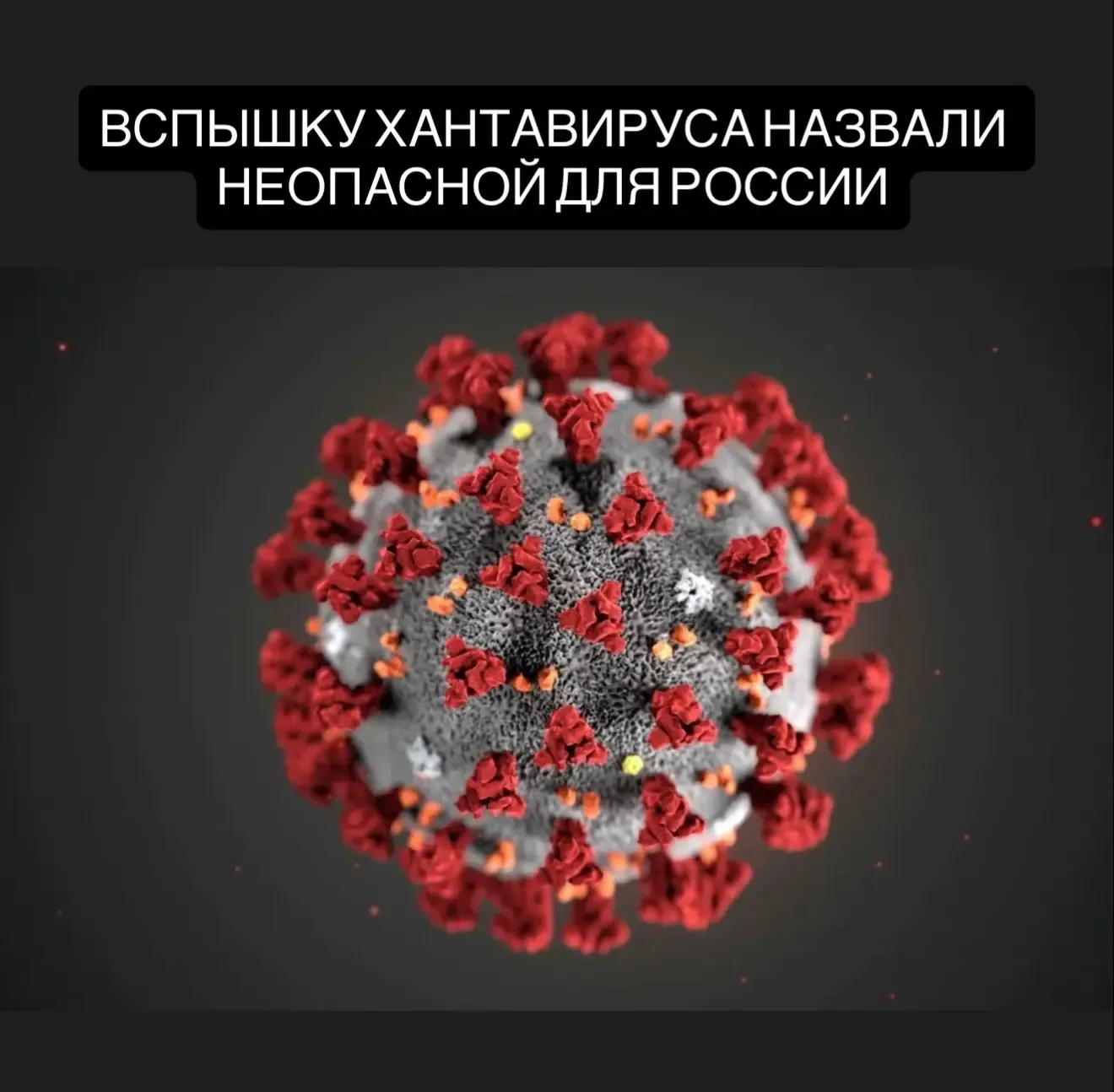 Хантавирус не представляет угрозы для россиян.  По словам академиков РАН, вирус давно изучен, а мето