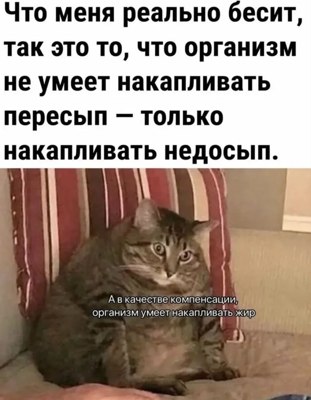 Мемы, которые отправляла мужу, чтобы вместе поржать. И с вами теперь тоже хочу)