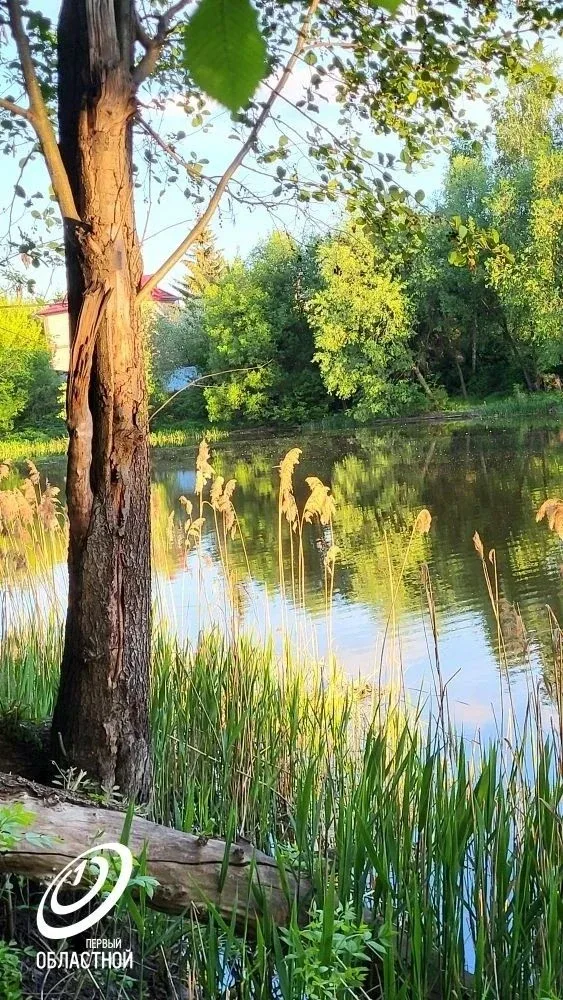 Синоптики обещают нам 30-градусную жару в ближайшие дни.🌞  В такую погоду хорошо прогуляться по Двор