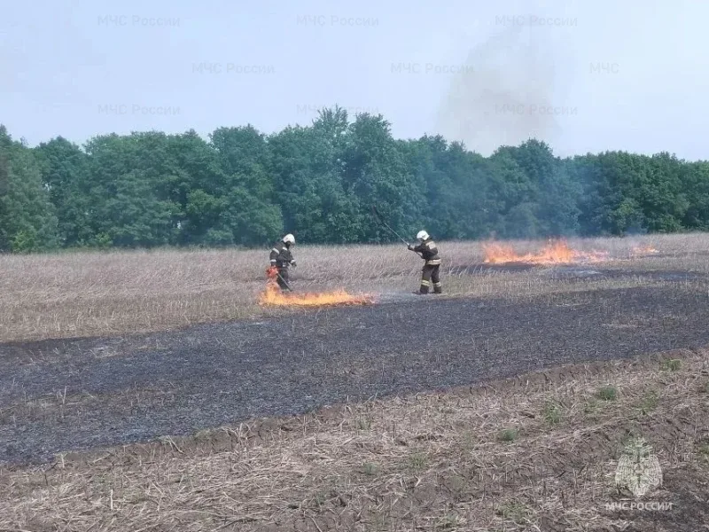 В Орловской области тушили сухую траву на площади 1,5 га 🚒  О двух подтвержденных термоточках сообщи
