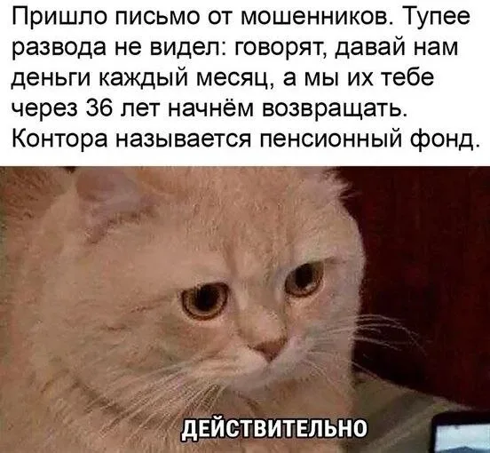 Пенсия у самозанятых может составить 50 тыс. рублей, если они ежегодно на протяжении 30 лет будут пл