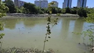Реконструкция «Южных прудов» в Новороссийске вылилась в суд на 8 миллионов  Росприроднадзор требует 