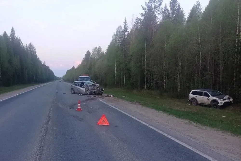 В ДТП под Плесецком пострадали пять человек, в том числе 10-летний ребенок  Ночью 20 мая в ОМВД Росс