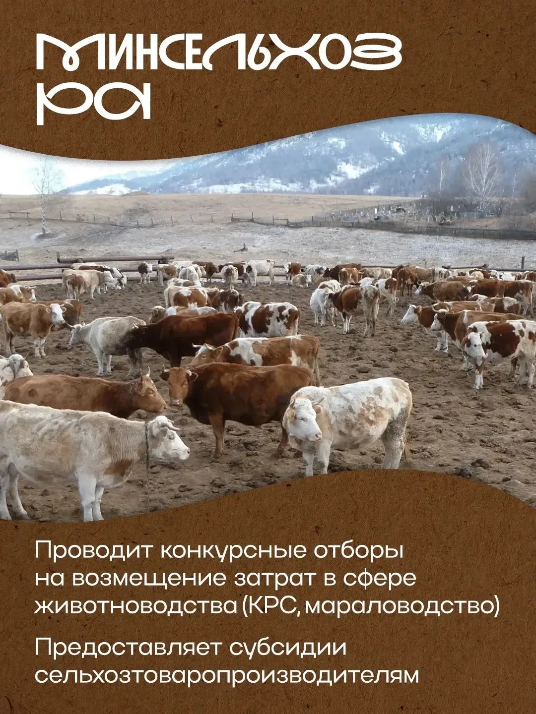 Республика Алтай развивается с опорой на Народную программу Единой России   Об измении в сельской ин