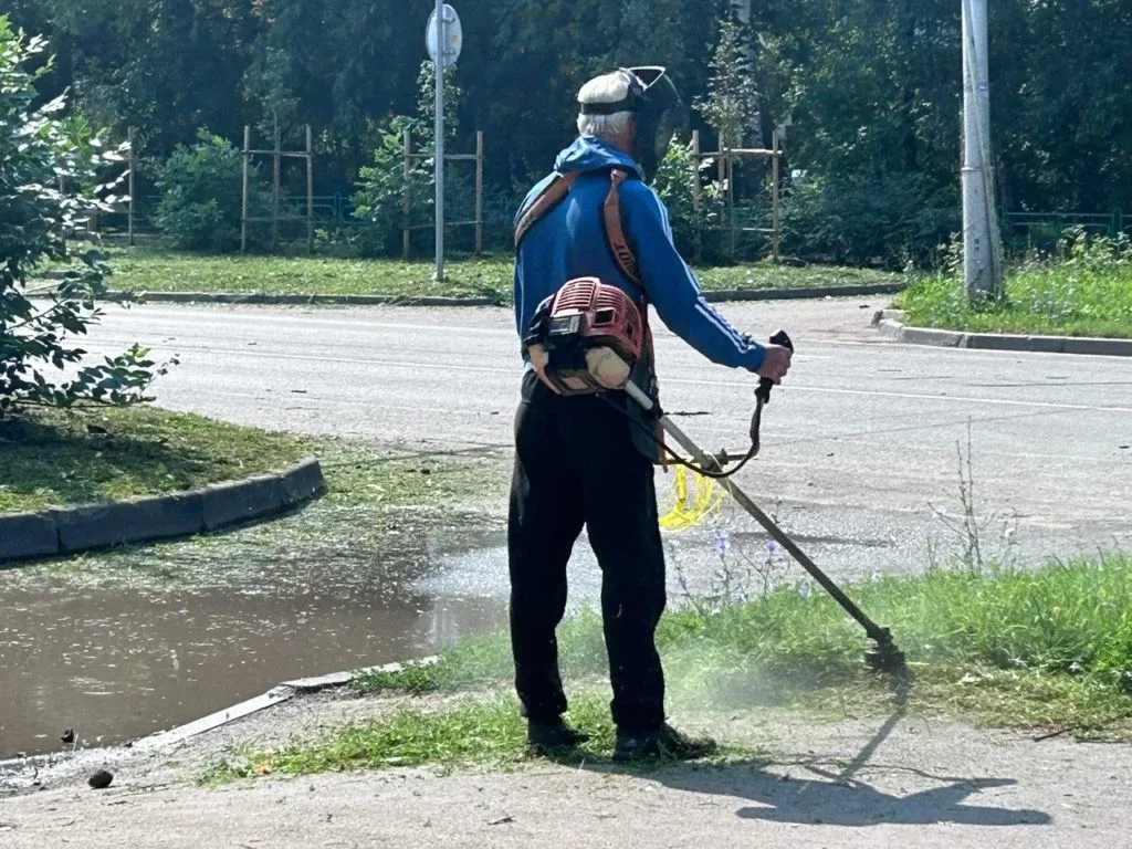 В Рязани начали окашивать траву  Как сообщил на своей странице в соцсети глава городской администрац