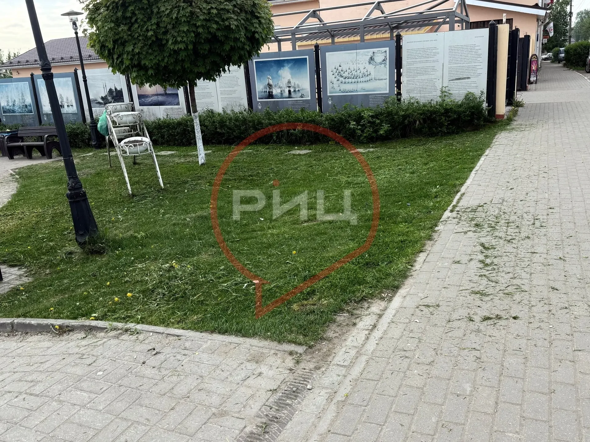 Согласны, что звук работающей  газонокосилки и аромат свежескошенной травы – первые признаки приближ