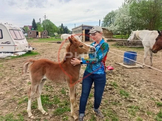 Большое сердце  В год Лошади «Боровские известия» продолжают открывать удивительные судьбы людей, св