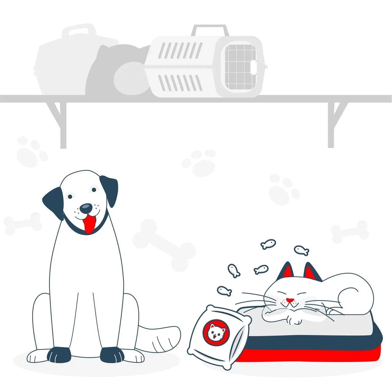 🐾 Больше комфорта для пушистых пассажиров  С марта этого года пассажиры приобрели для своих питомцев