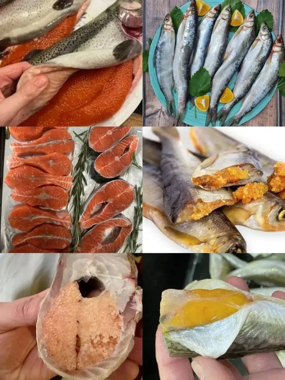 https://t.me/DivnayaIpatovaforel 🐟 🐟 🐟 Акция  пятница 22 мая пятница  АКЦИЯ . Лосось свежая с вылова
