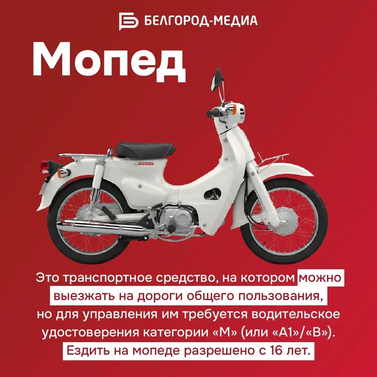 С наступлением тёплого сезона на дорогах всё чаще замечают питбайки и мопеды🏍  Вместе с этим растёт 